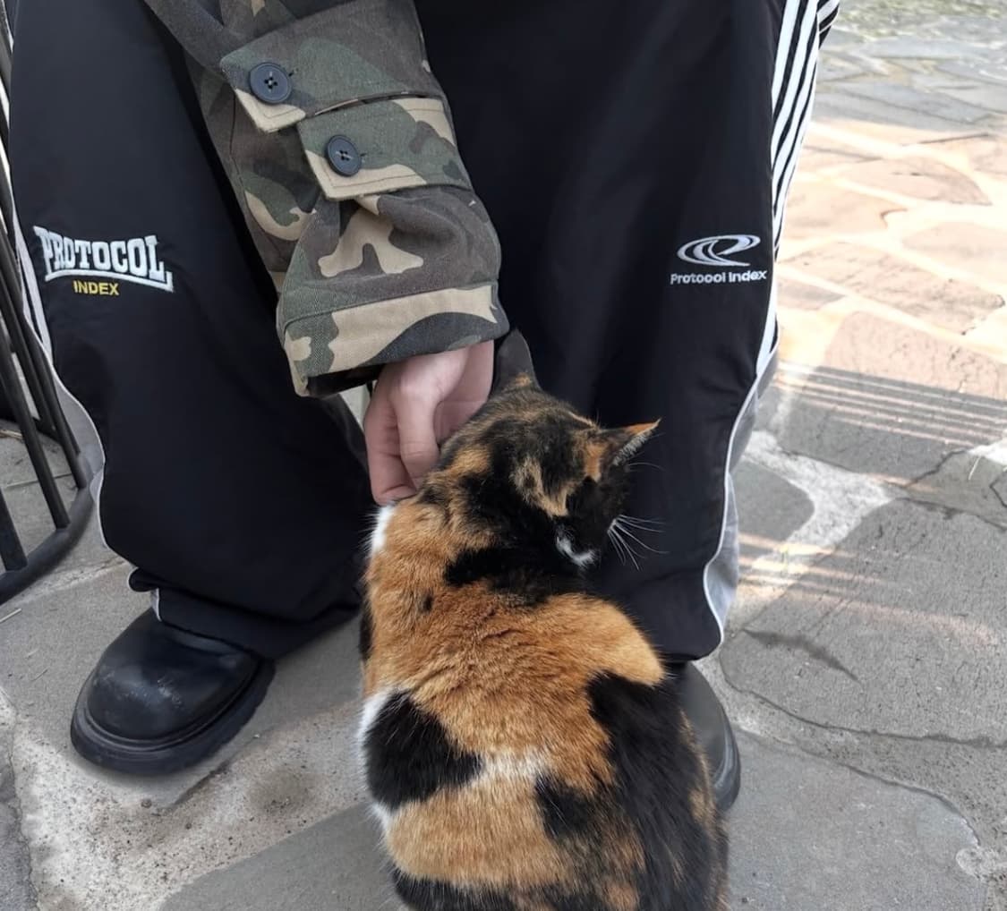 선데이오프클럽 카모 자켓 상품이미지4