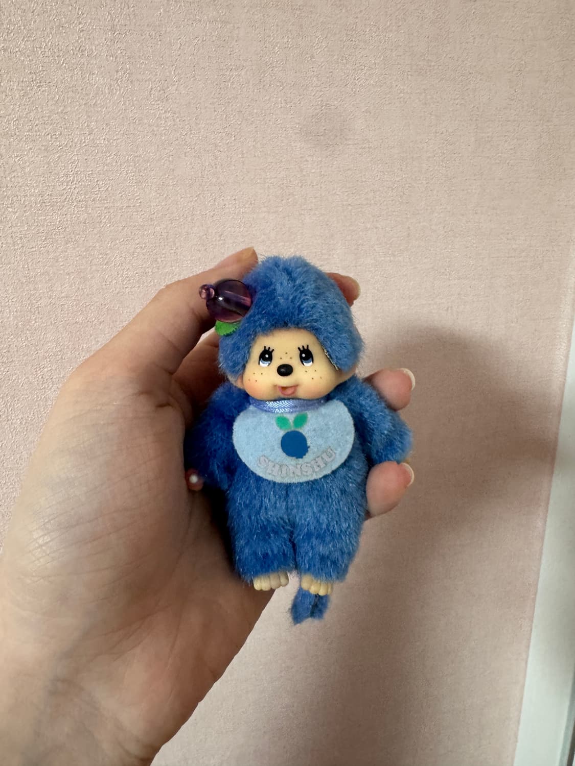 지역한정 블루베리 몬치치 미니 희귀 상품이미지1