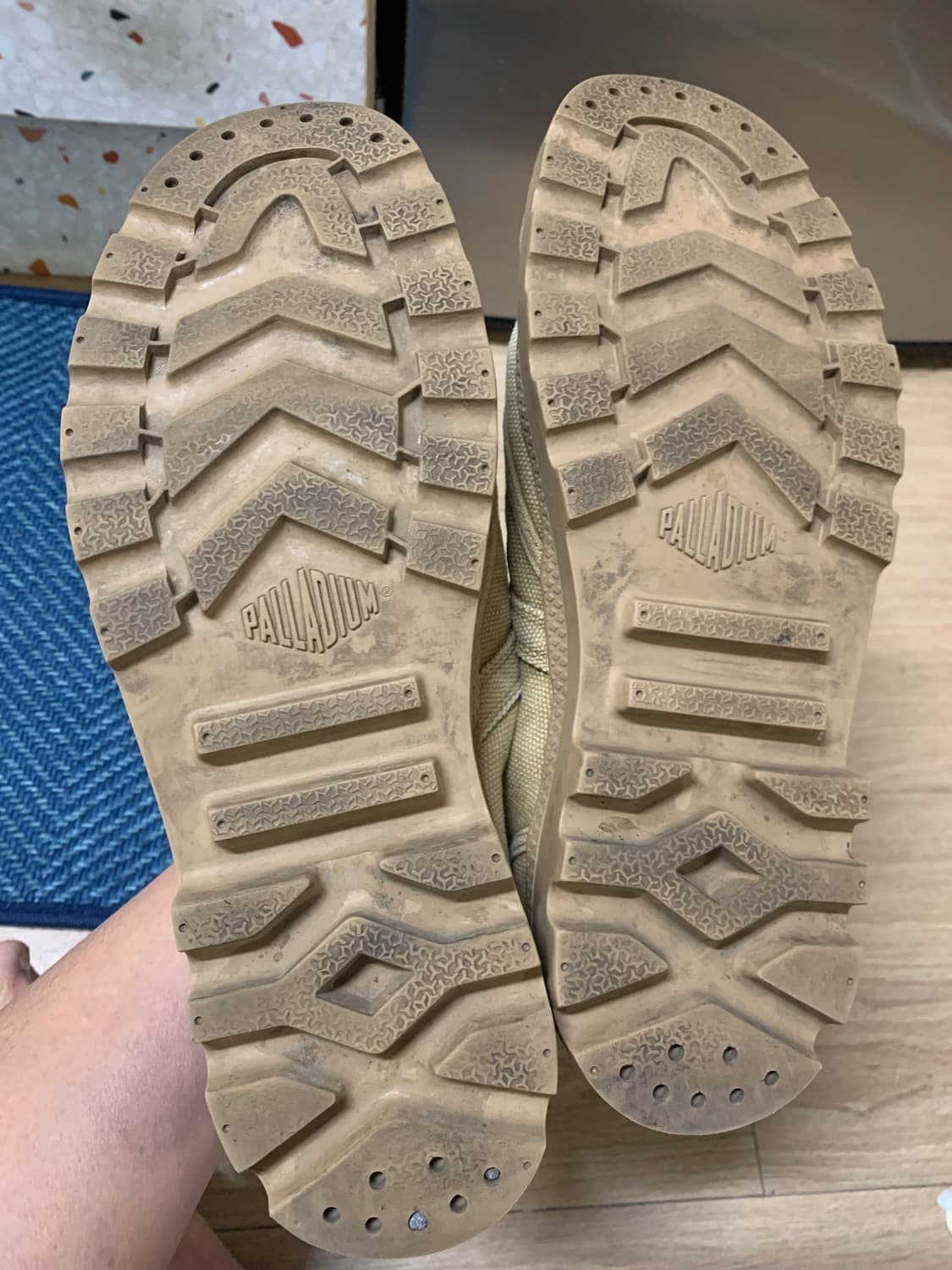 팔라디움 팜파하이 사막화 판매 합니다 상품이미지7