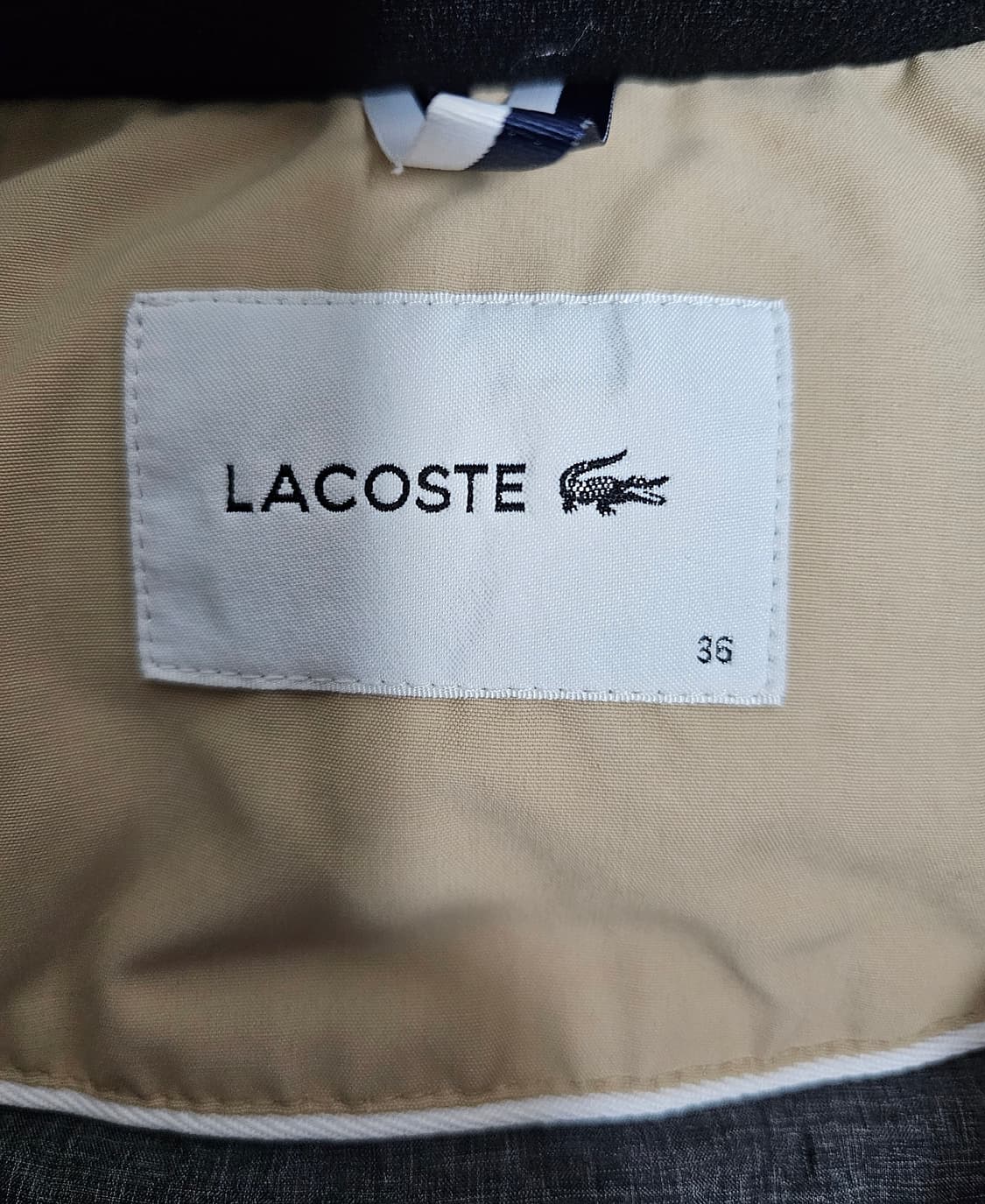 라코스테 여성 덕다운패딩 36(95) 상품이미지3