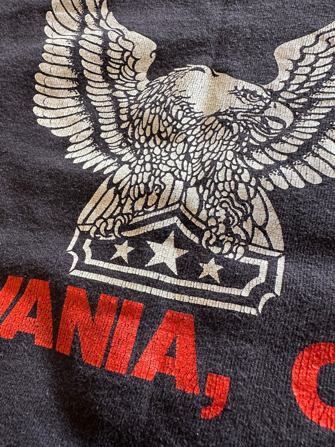 80s  Harley davidson Holoubek Eagle - XL 상품이미지9