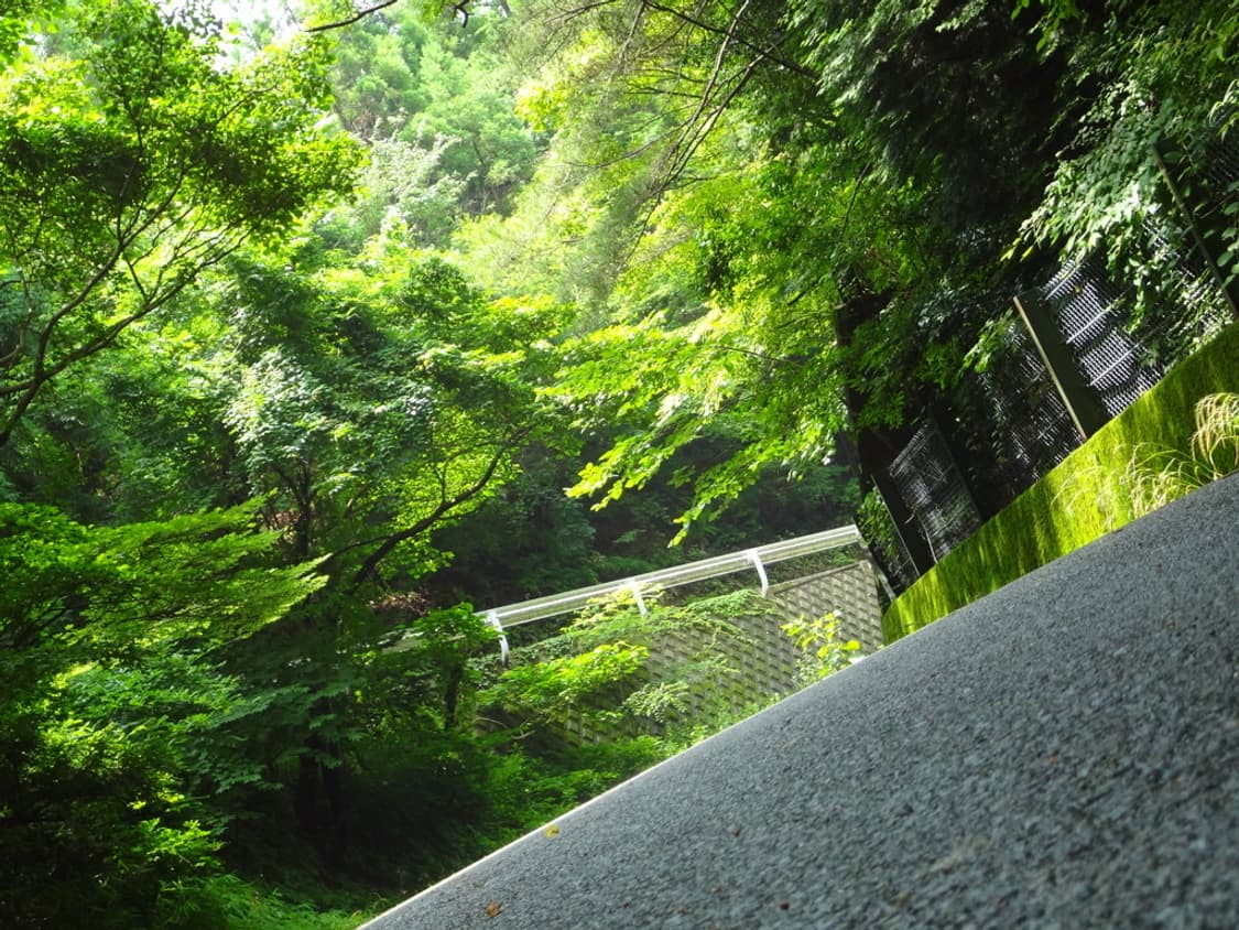 (색감/감성) 소니 SONY DSC-WX7 디카 디지털카메라 상품이미지10