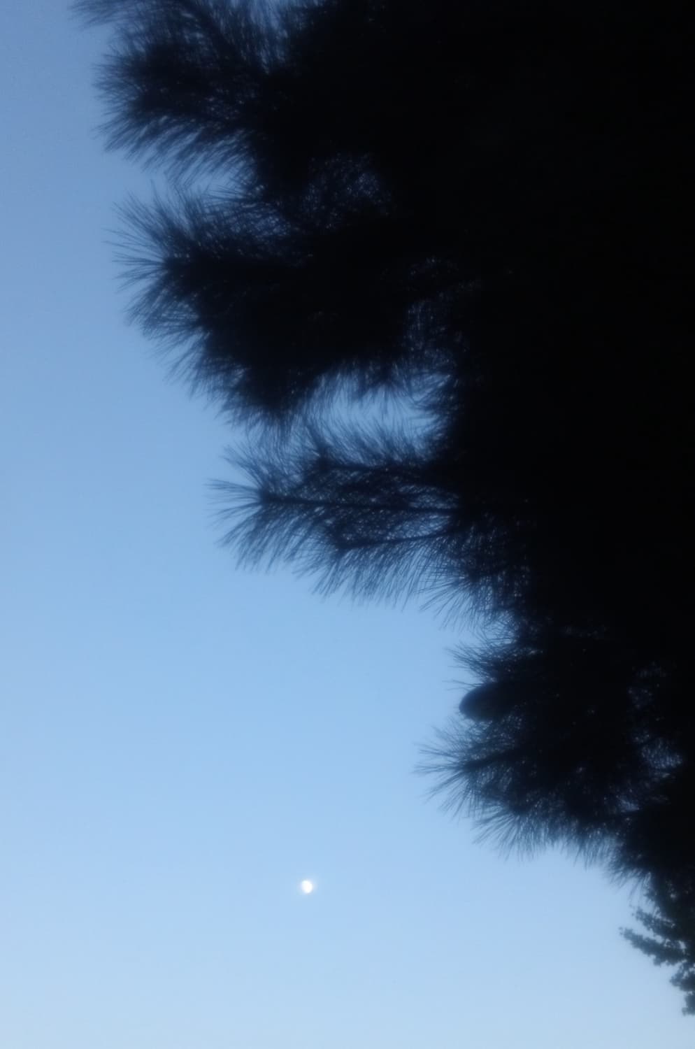 소니 블로기 TS10 빈티지 디카 캠코더 작례o 상품이미지10