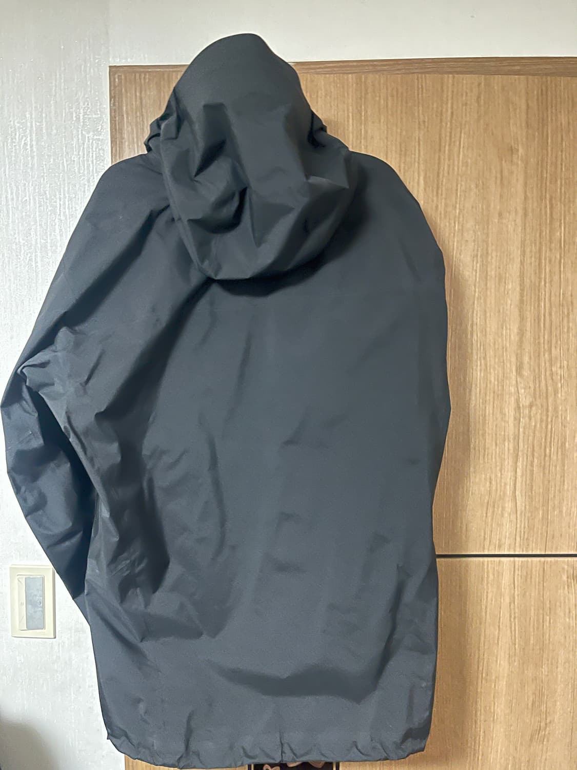 아크테릭스 베타 AR L 상품이미지5