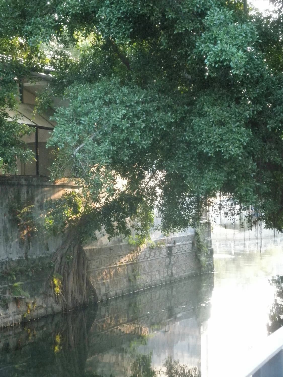 올림푸스 뮤 7040 | mju 핑크 상품이미지9