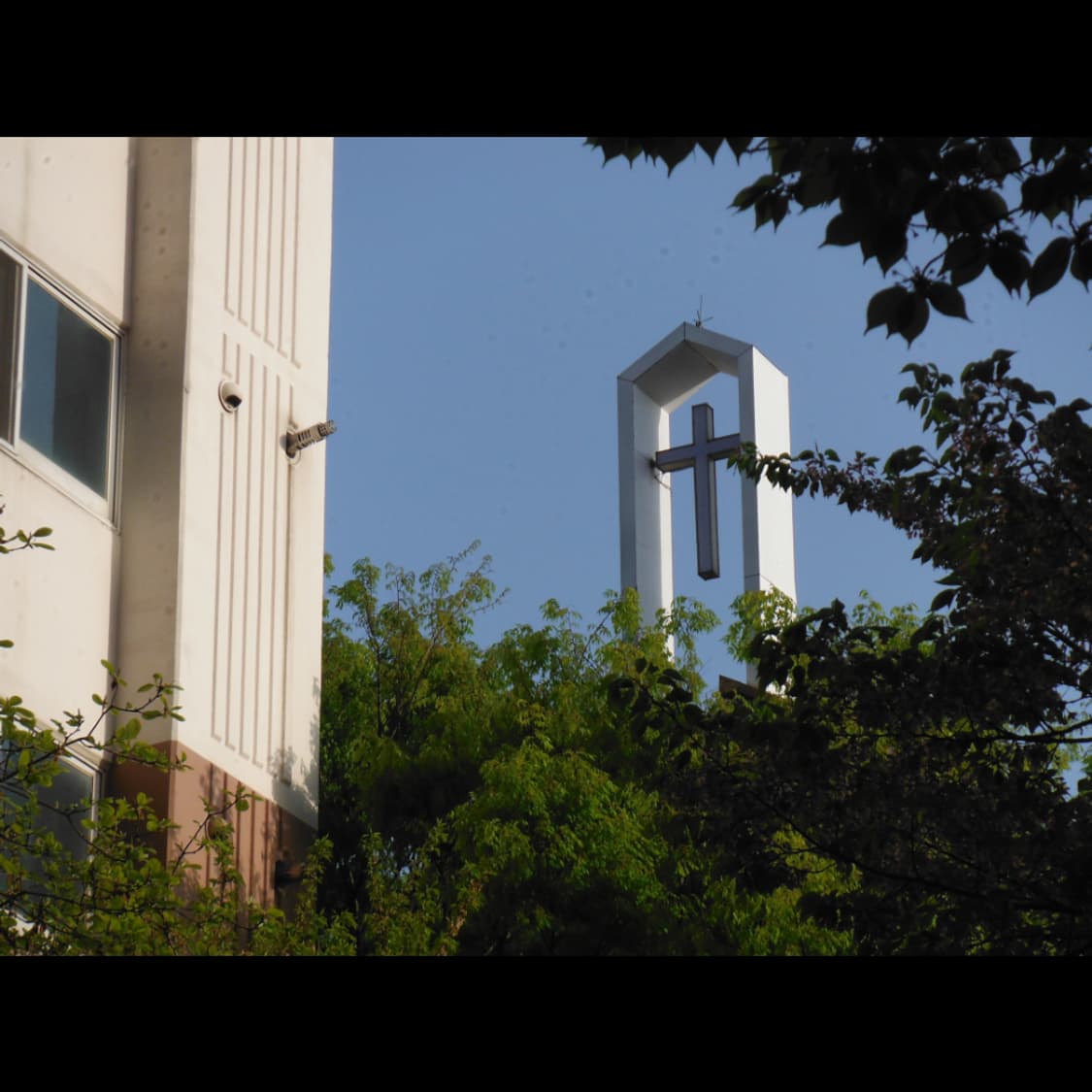 작례⭕️ 후지필름 XP 100  상품이미지6