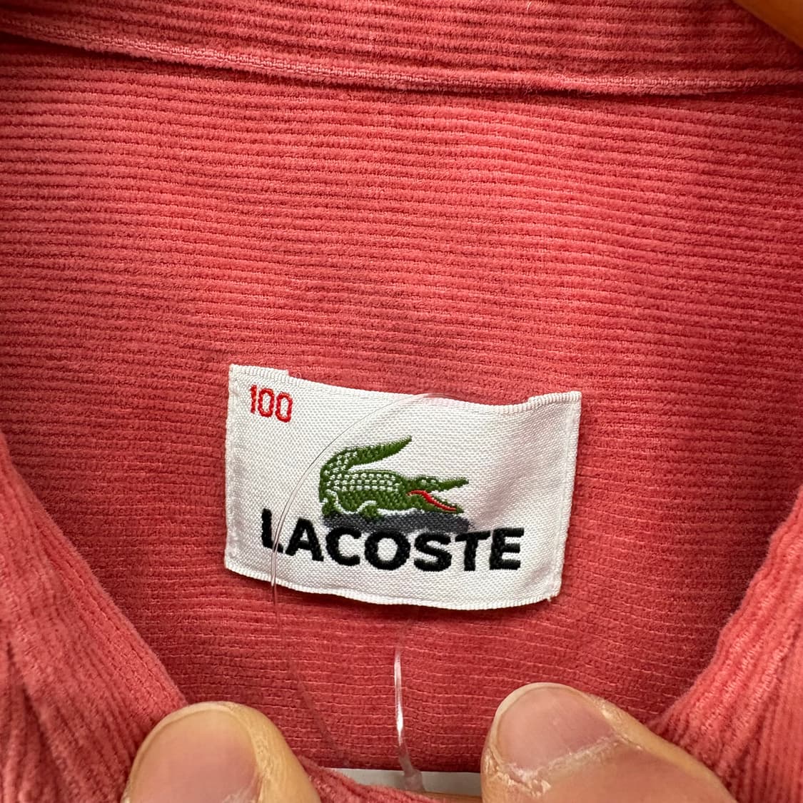 라코스테 코듀로이 셔츠 여/XS 상품이미지4