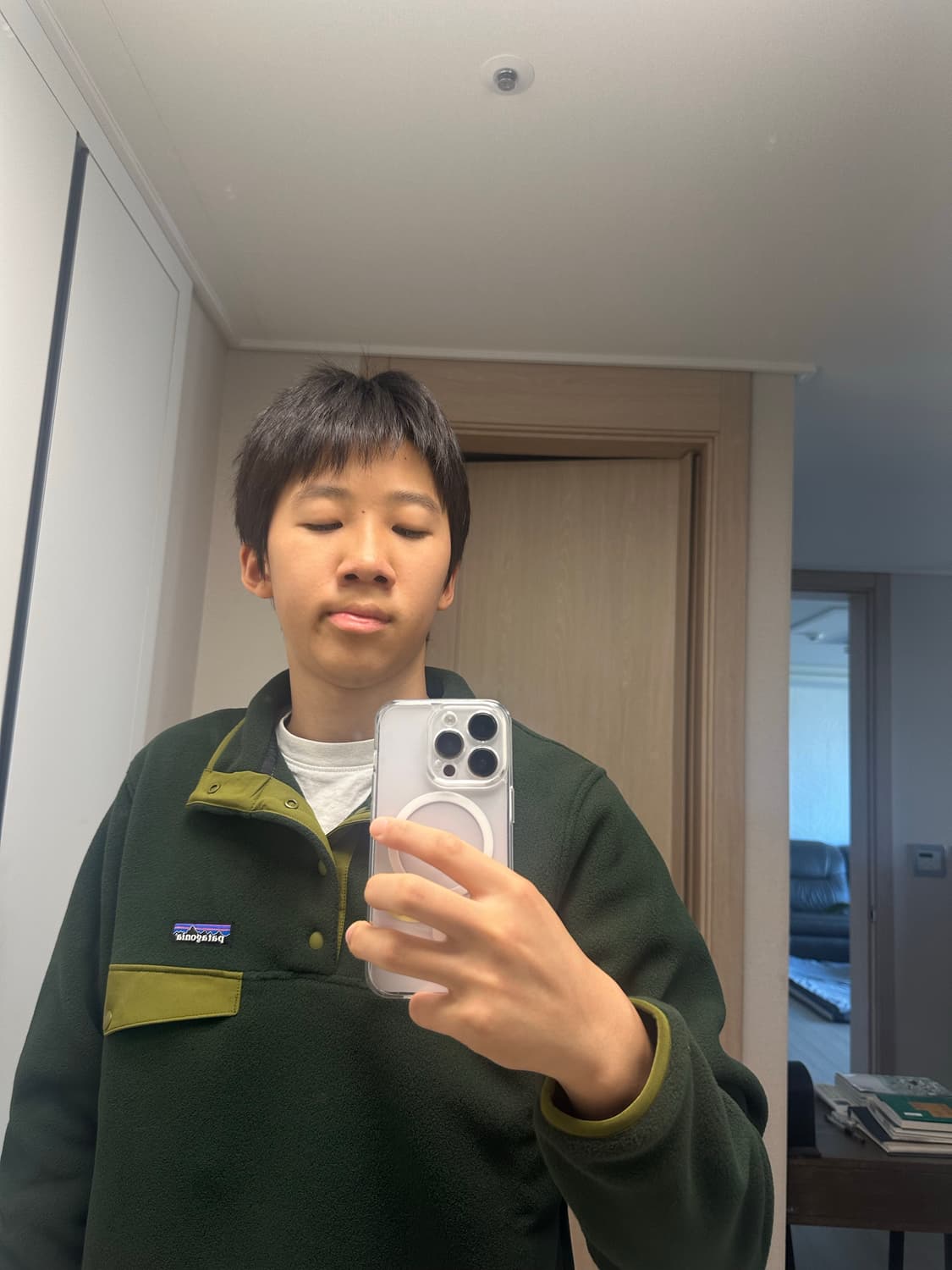 파타고니아 신칠라 그린 상품이미지2