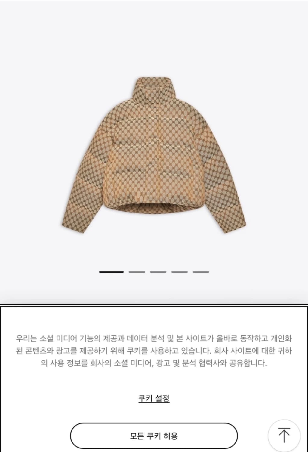 구찌 발렌시아가 해커 남성패딩 상품이미지1