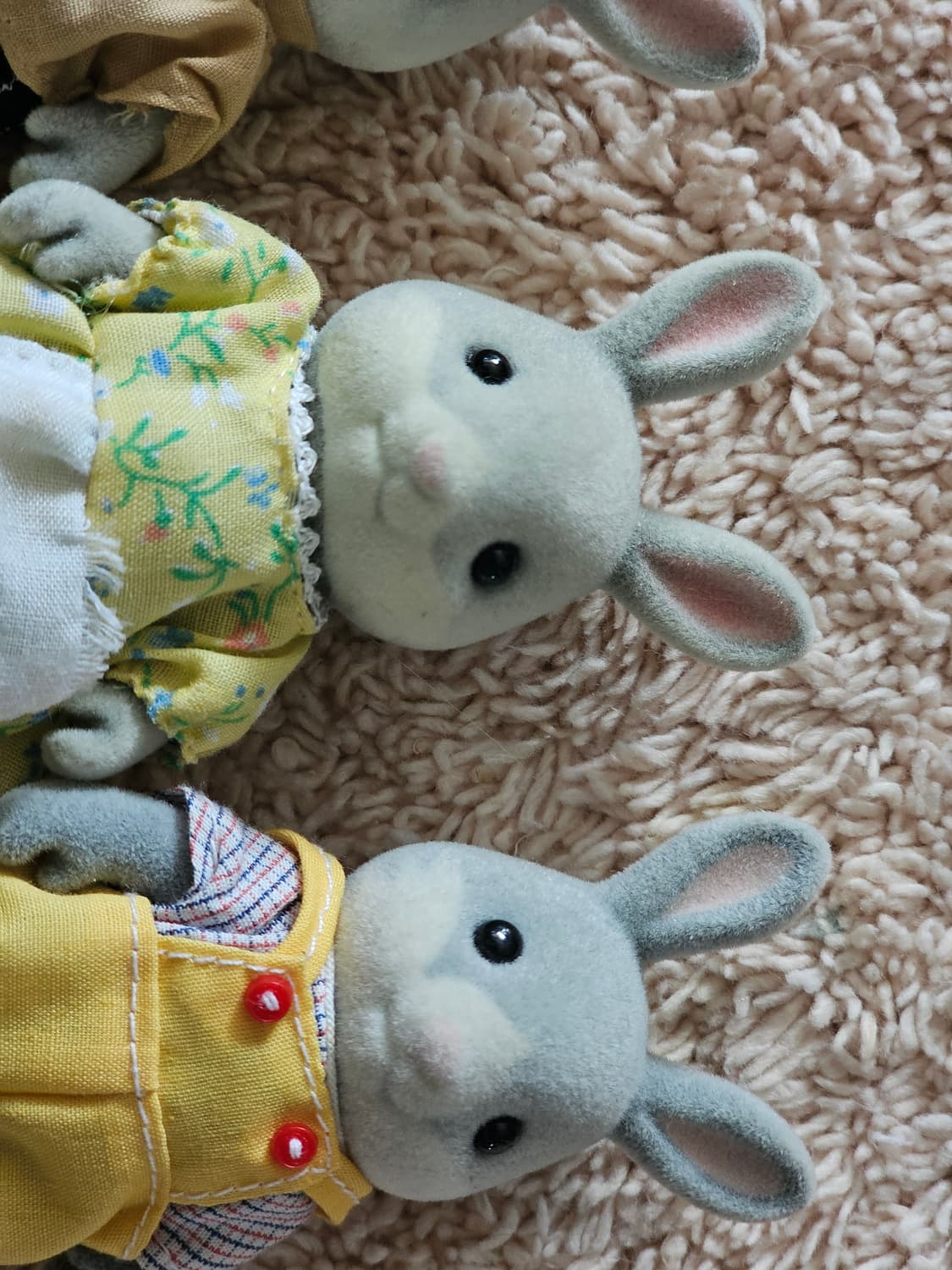 실바니안 패밀리 회색토끼(솜토끼) 판매합니다 상품이미지6