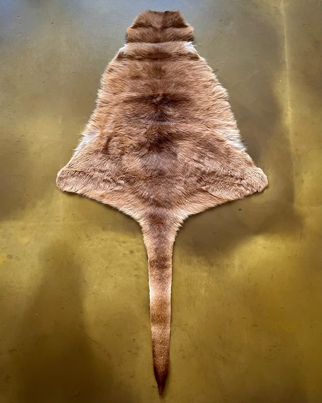 (A)2000s Australian Kangaroo Skin Carpet 상품이미지6