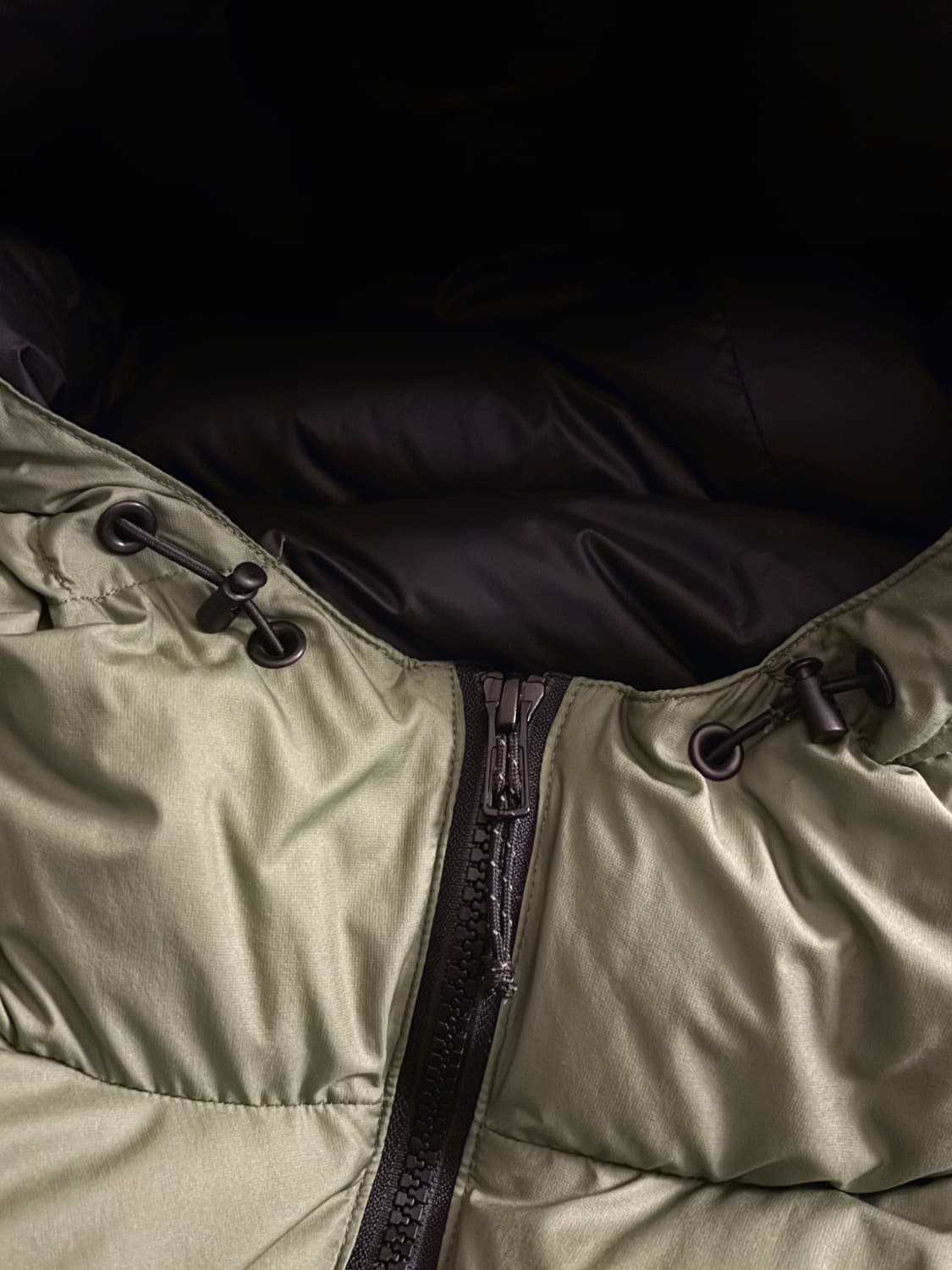 페더드프렌즈 헬리오스 리첸 XXL(2LX) 상품이미지3