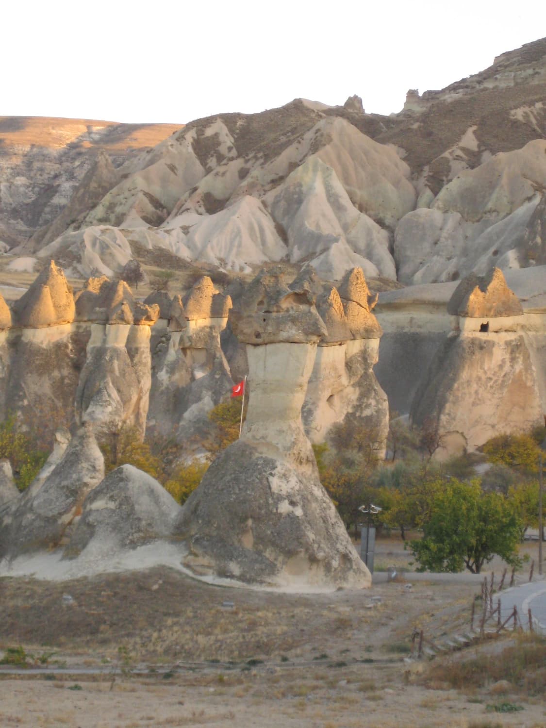 (작례포함) 캐논 익서스 Canon IXUS 85 IS 실버 디카 상품이미지9