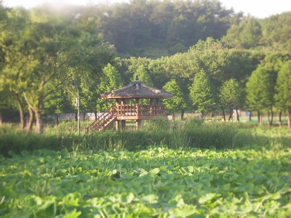 삼성 케녹스 Samsung Kenox V10 레드 상품이미지2