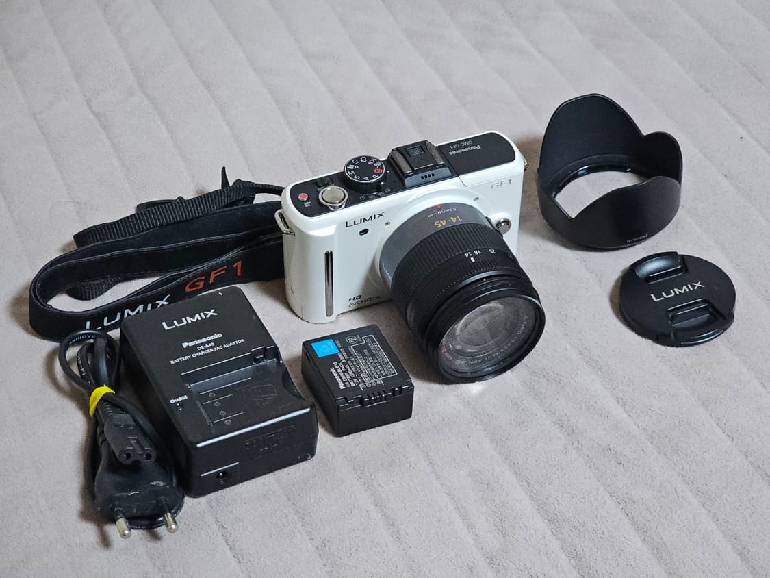 파나소닉 루믹스 GF1 미러리스 카메라 상품이미지9
