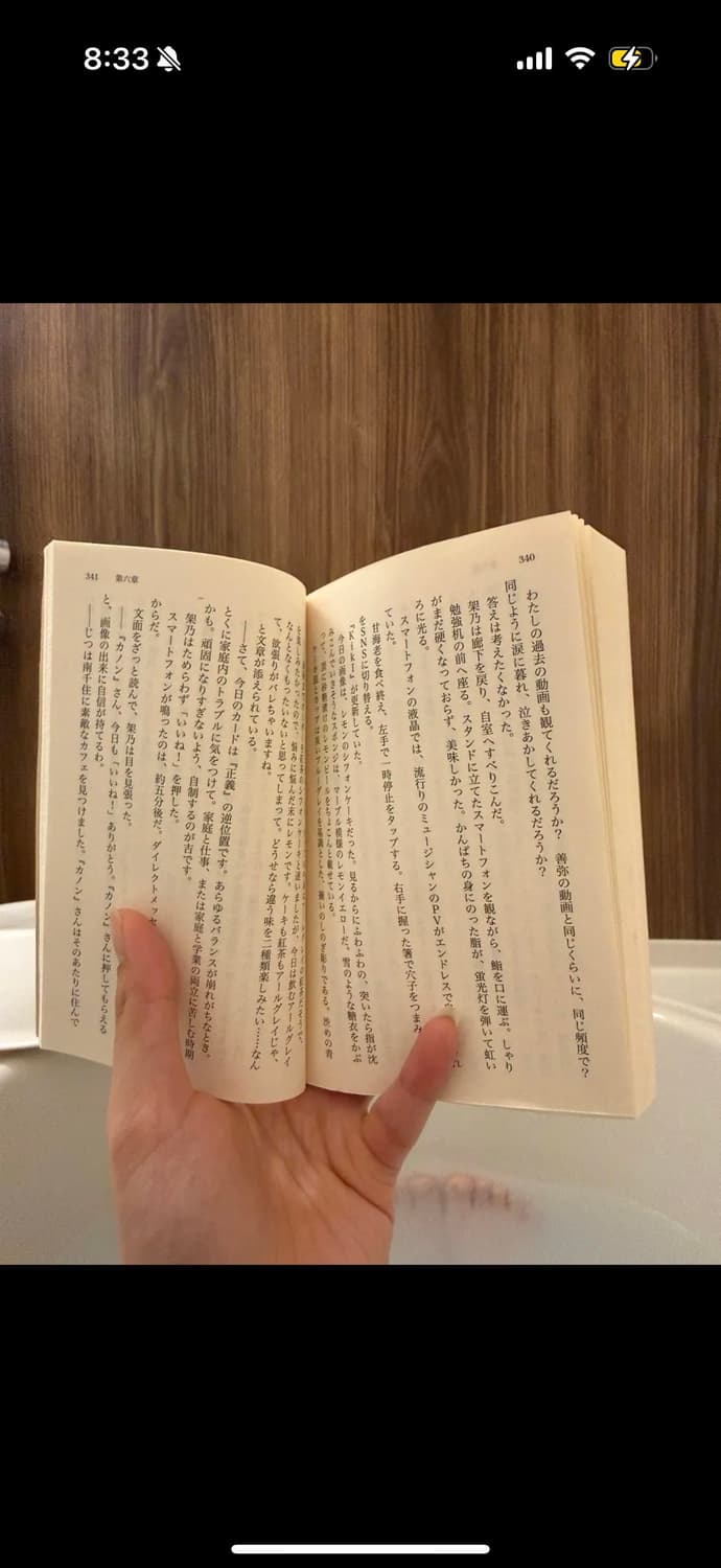 호시히메 백룡스카쟌 상품이미지7