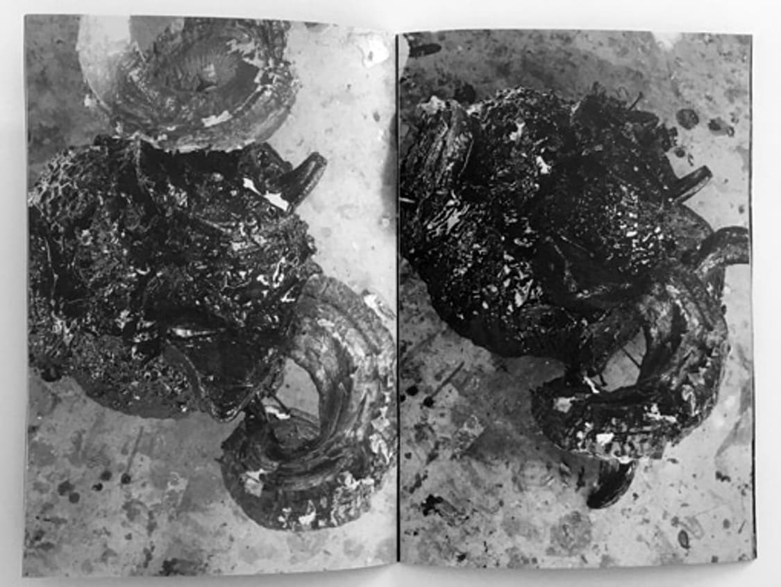 헬무트랭 Burry 전시 도록 상품이미지3