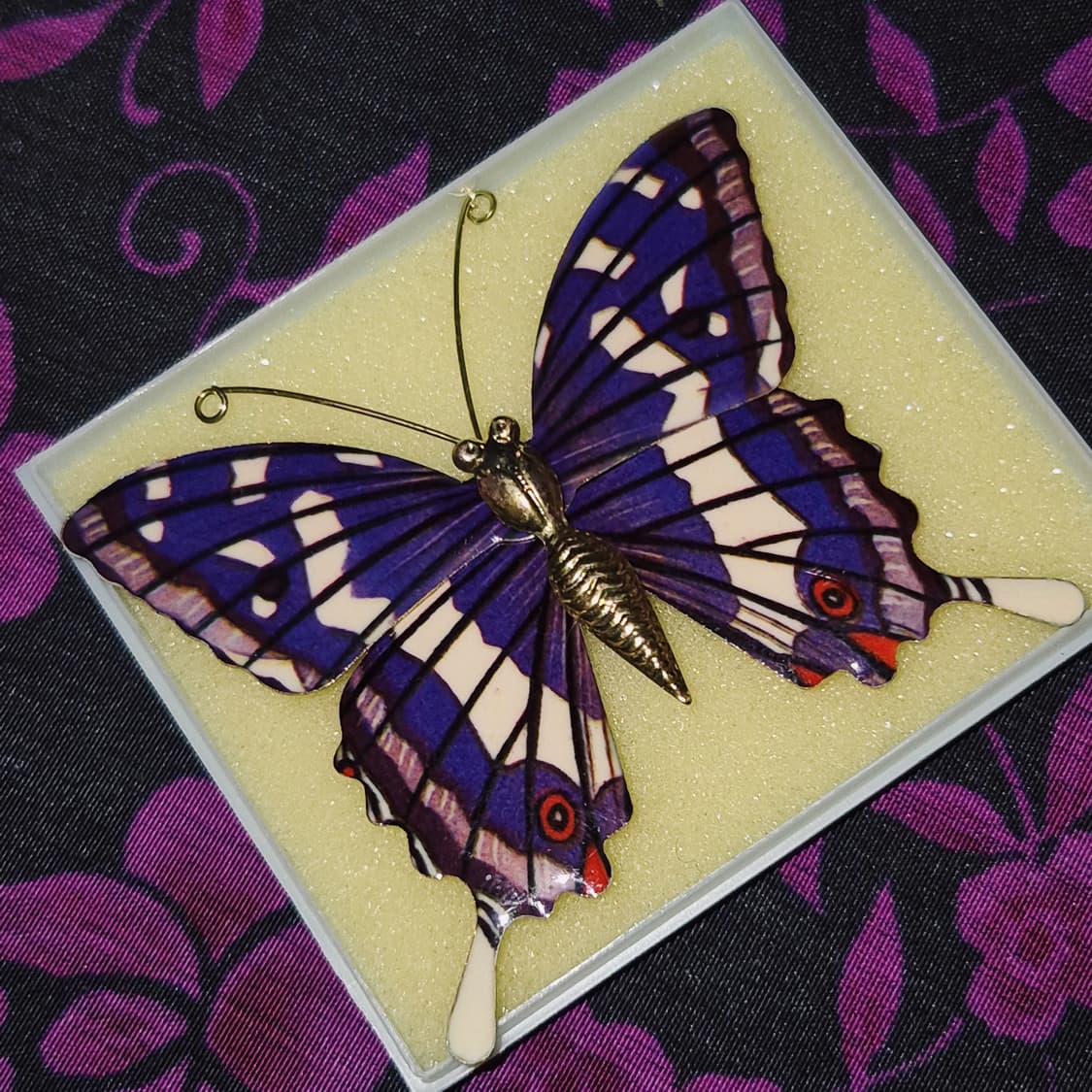 70s 일본 엔틱 황제 나비 빅 브로치 상품이미지5