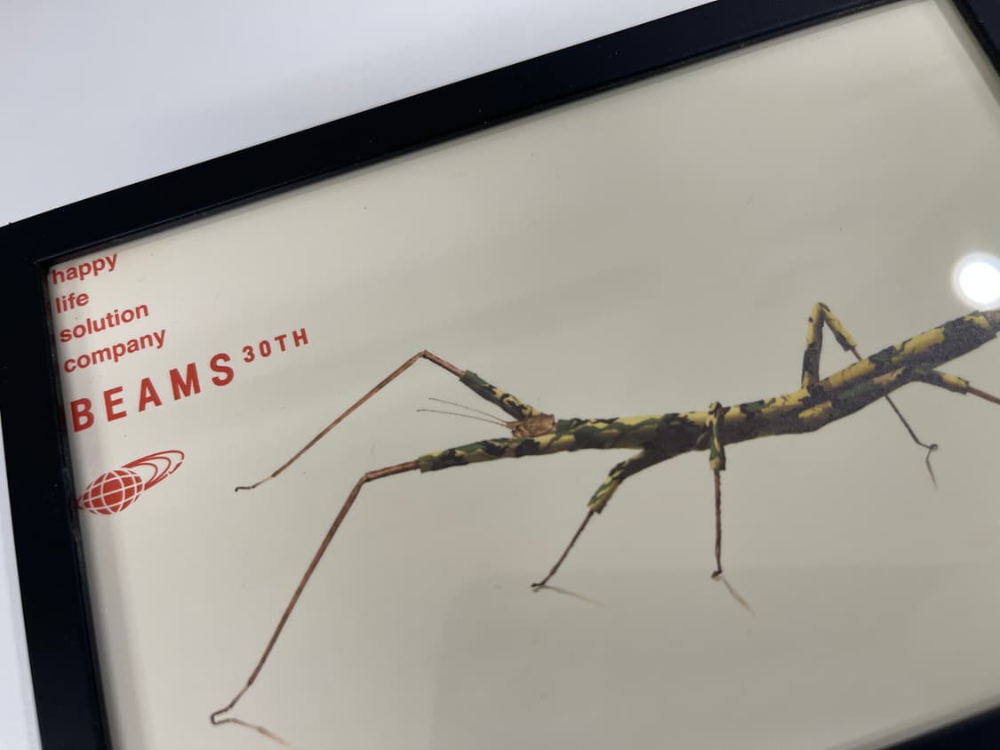 빔즈 30주년 기념 한정 아트 포토 Beams AD2006 상품이미지2