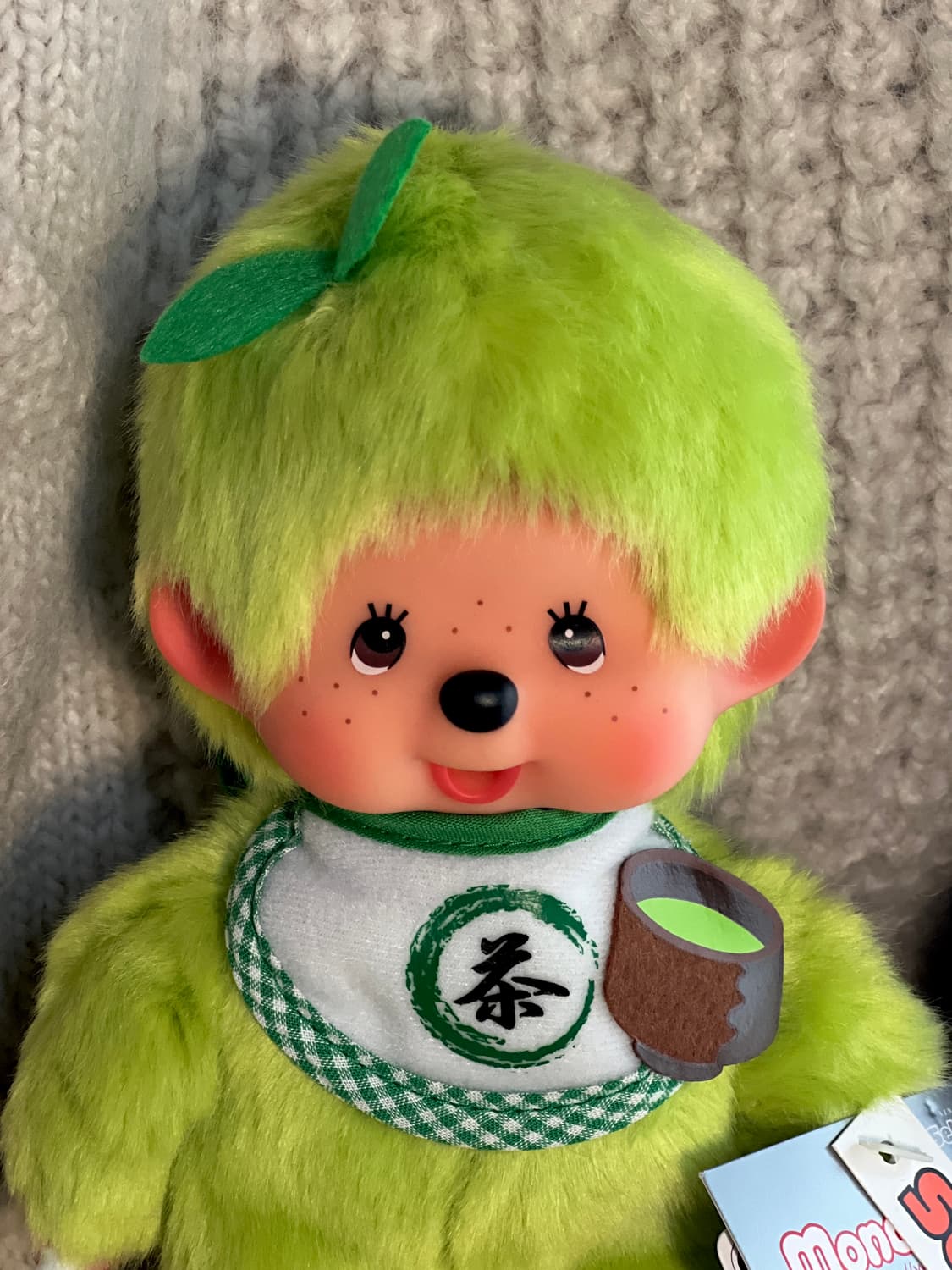 말차 몬치치 s (예쁜개체) 상품이미지1