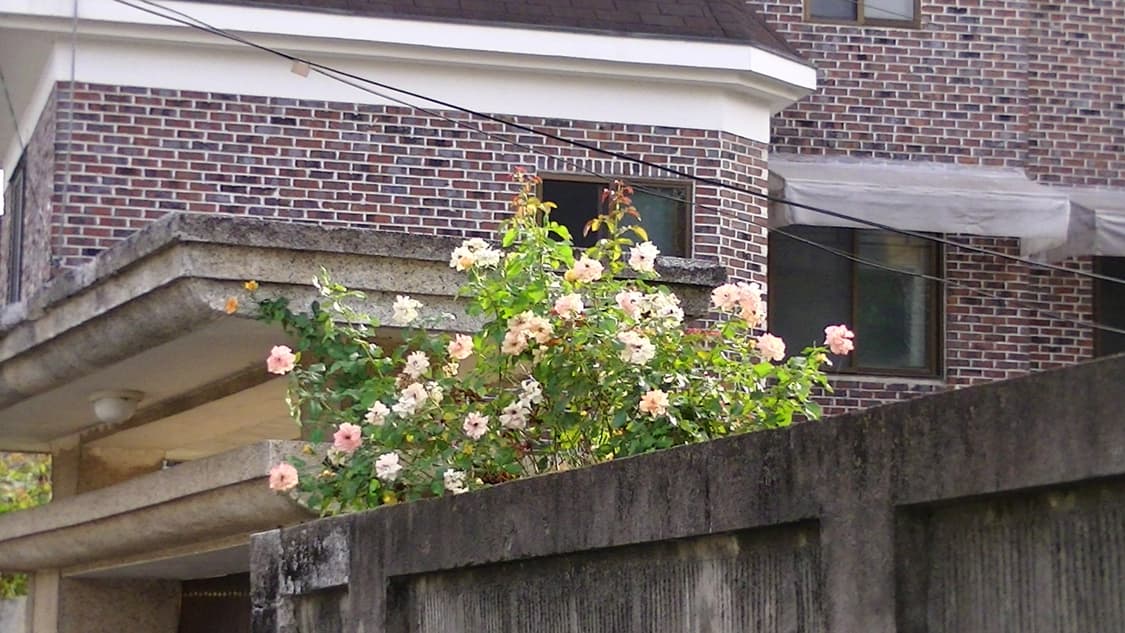 JVC Everio HM-450 상품이미지4