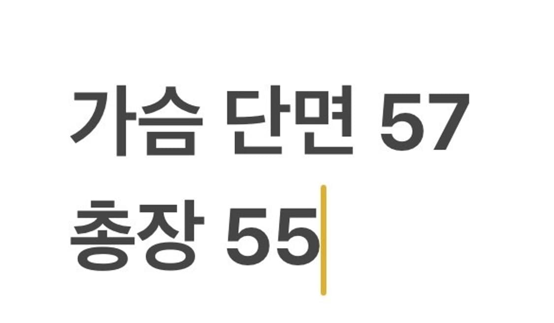 [정품/100] FTV 유틸리티 조끼 그레이 b16 상품이미지8