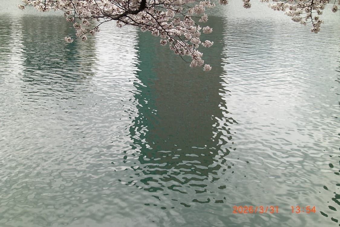 희귀) 카시오 엑슬림 Z1050 Casio Exilim 핑크 상품이미지10