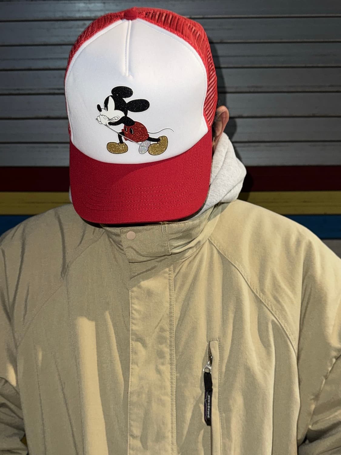 01년대 파타고니아 이스케이프룸 자켓 XL 상품이미지3