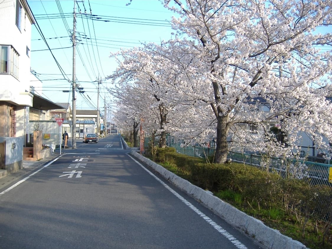 후지필름 파인픽스 A345 실버 ✨
깔끔 레트로 감성의 실버 디카 📸 상품이미지3