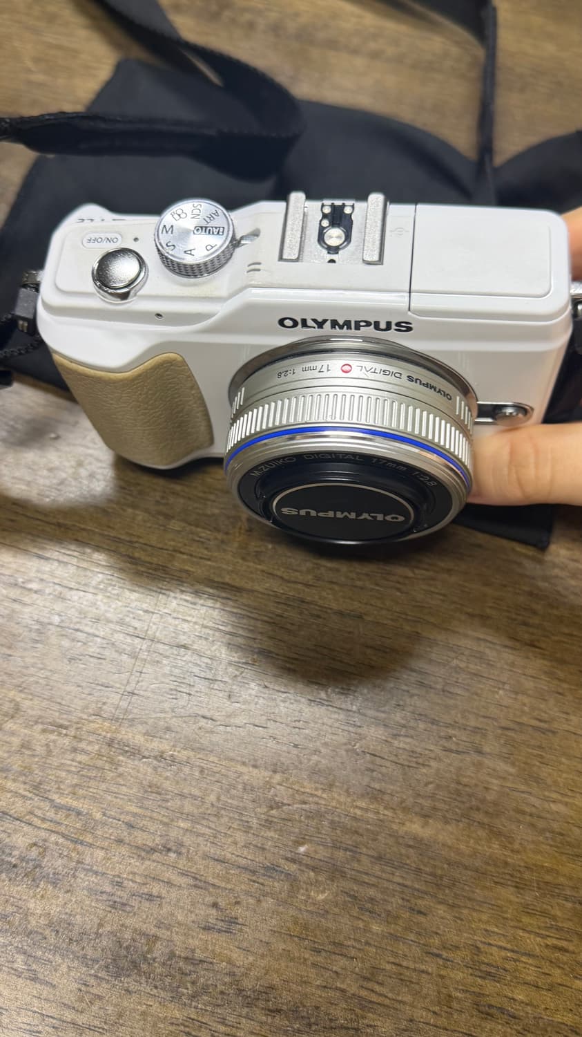 올림푸스 pen E-PL2 상품이미지3