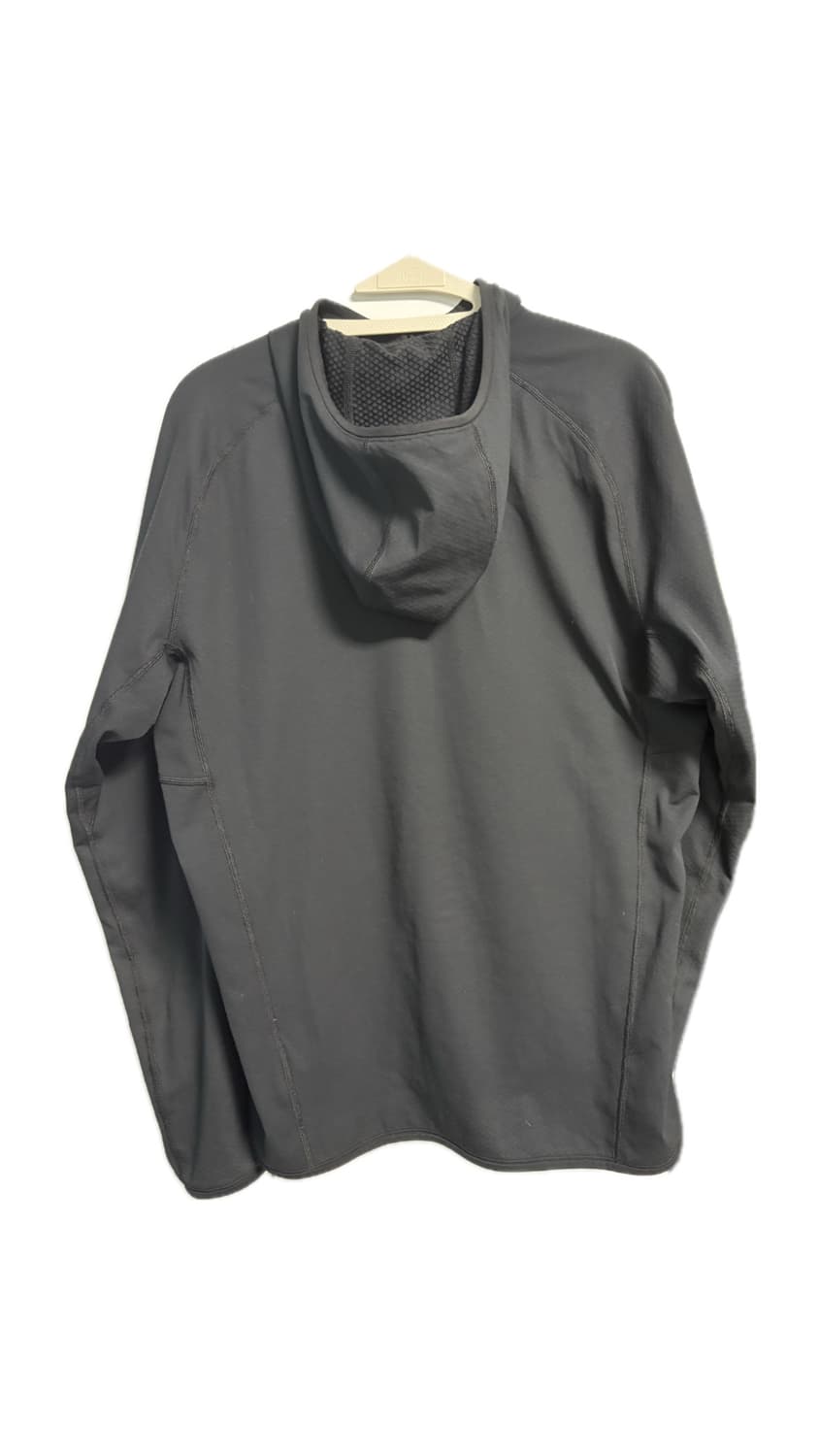 아크테릭스 델타 후디 남성 상품이미지3