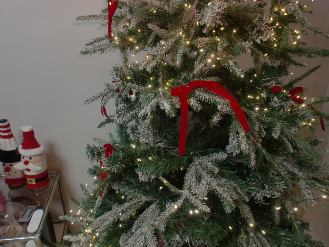 (풀박,작례o) 카시오 Casio 엑슬림 ex z550 차정원디카 상품이미지7