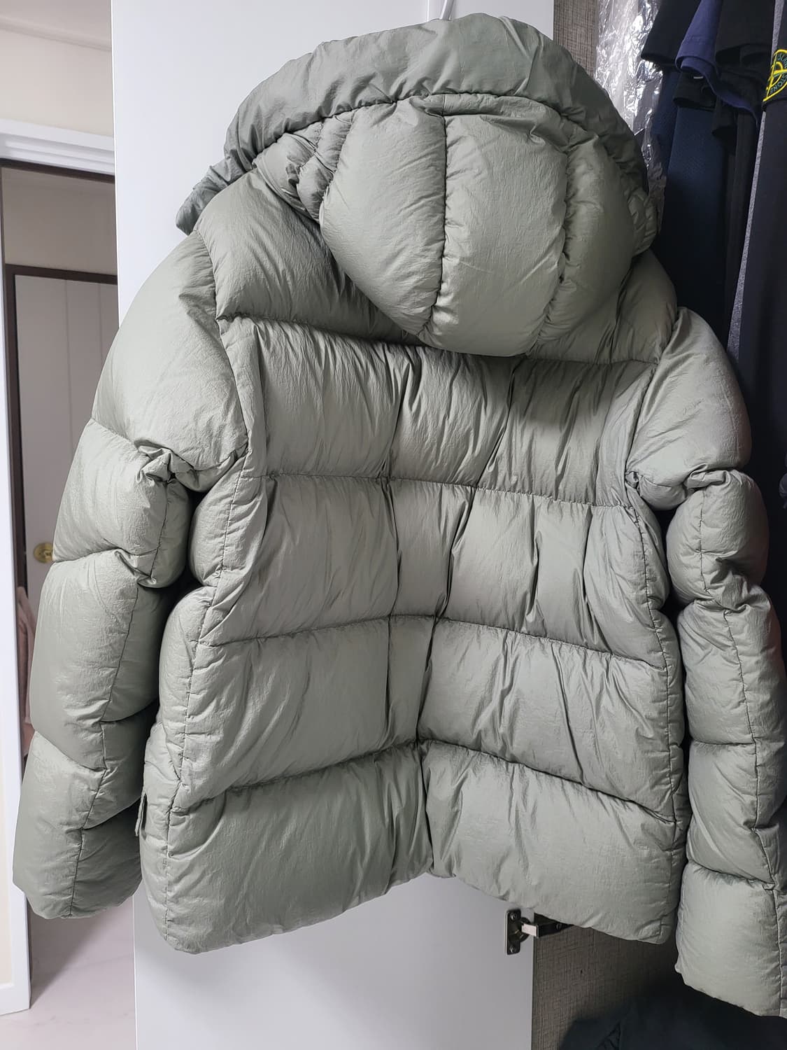 텐씨 알파인 세이지그린 52 상품이미지2