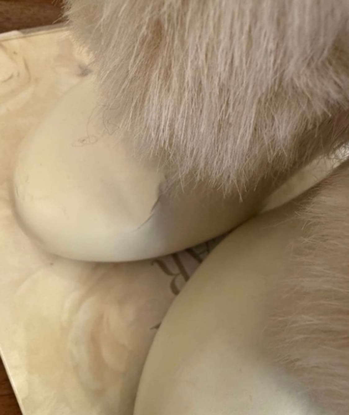 리즈리사 히메갸루 달천깔 퍼 레이스 리본 부츠 폼폼 라떼갸루 디마럽 상품이미지2