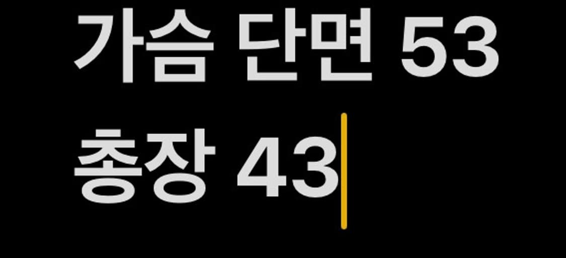 [ 정품/L ] 칼하트 크롭 반팔 셔츠 b16 상품이미지5