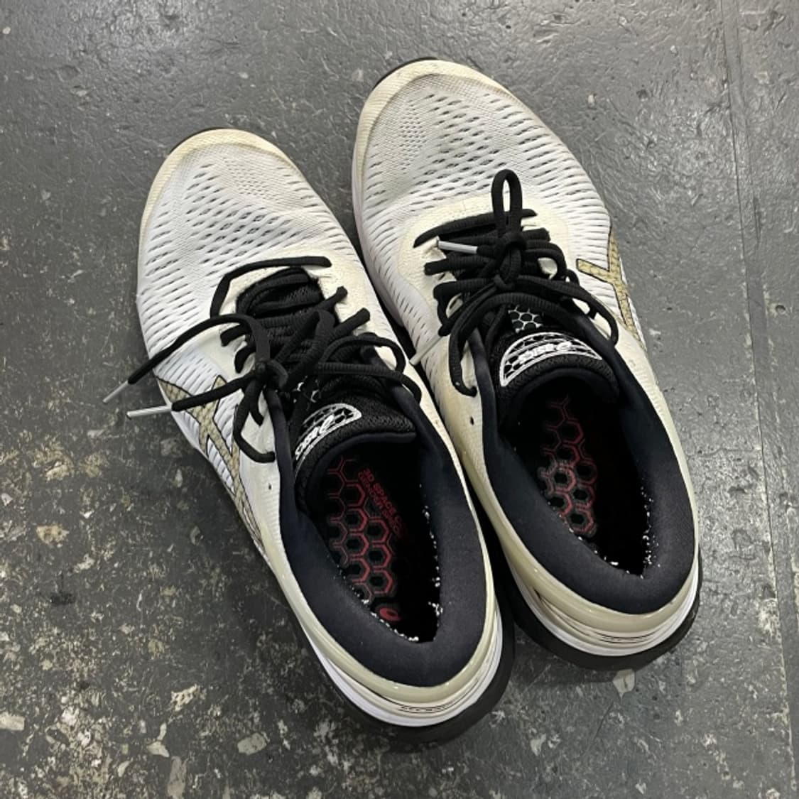 280 아식스 젤 카야노 25  상품이미지2