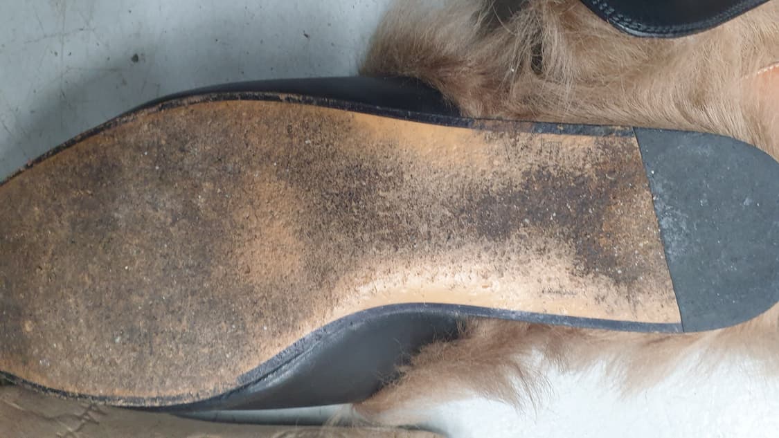 구찌 프린스타운 타이거 자수 퍼 슬리퍼 상품이미지6