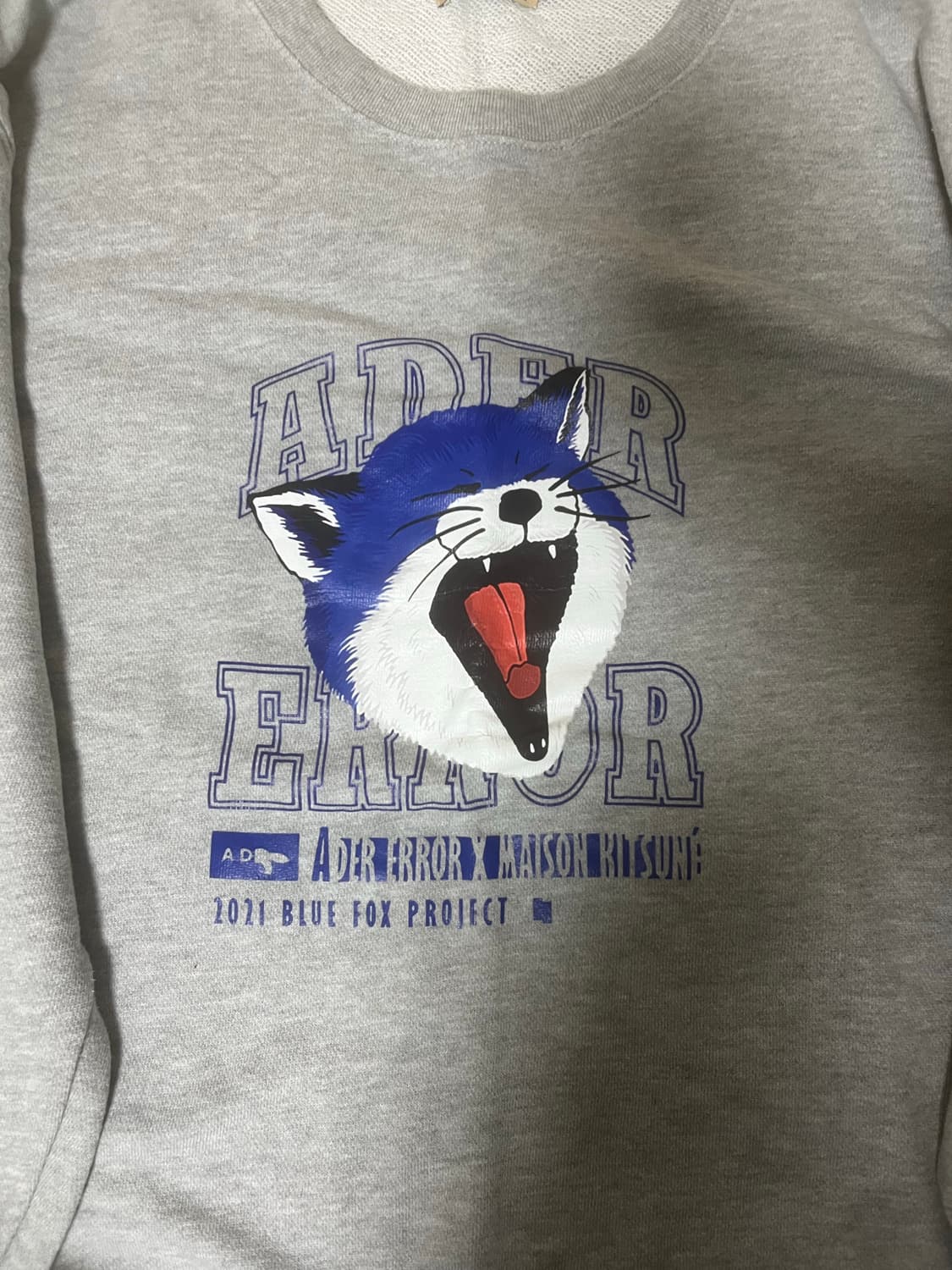 아더에러 x 메종키츠네 콜라보 The Bluest Fox 스웻셔츠 상품이미지1