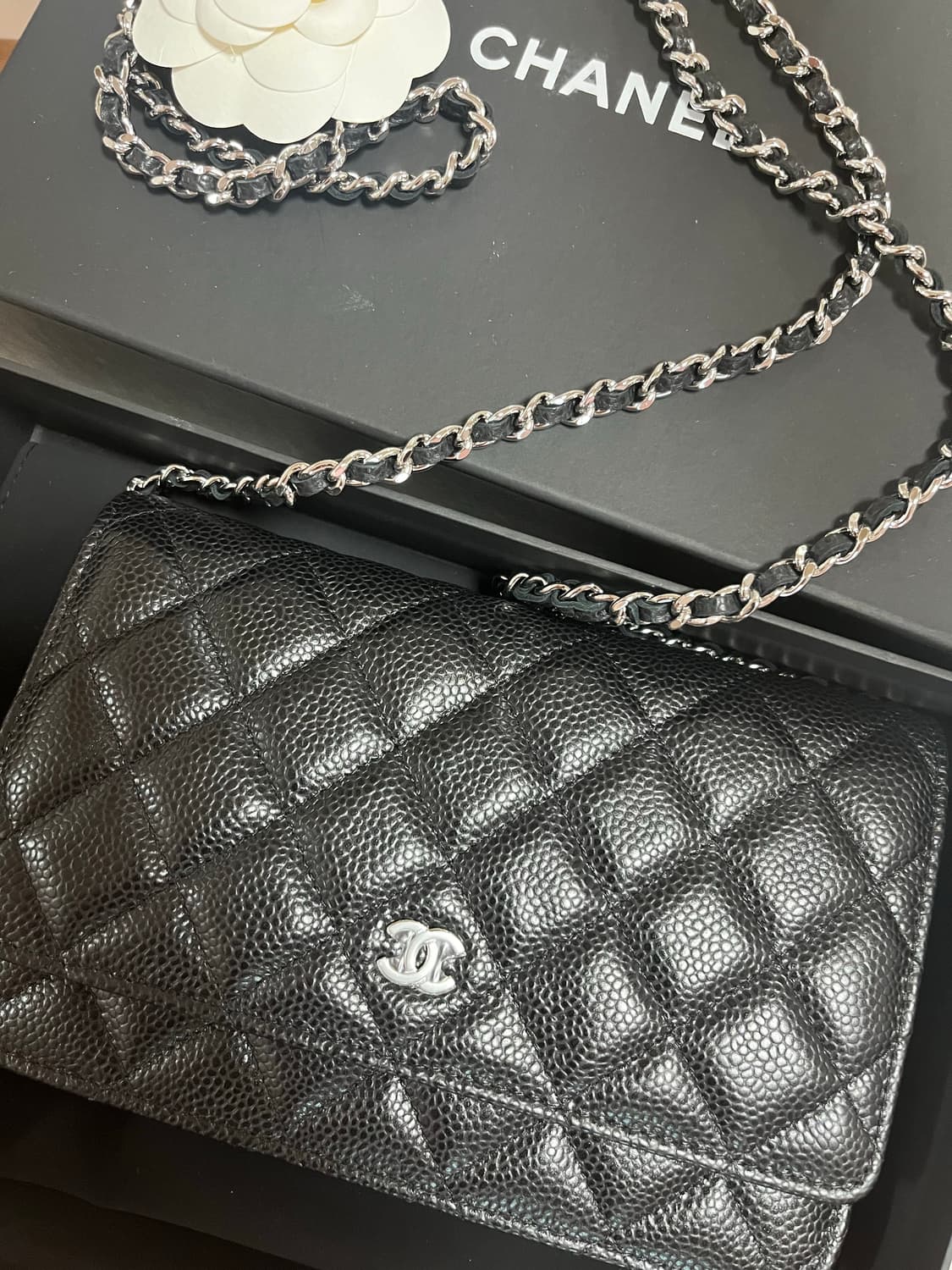 샤넬 woc 상품이미지1