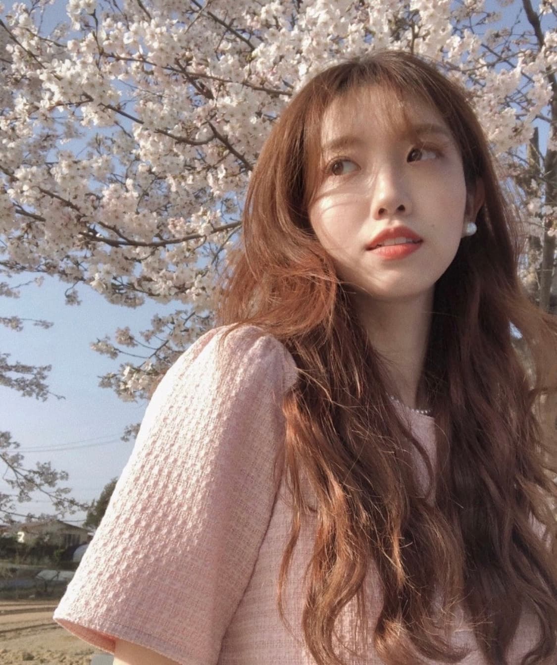 ARCHIVE JTOU 아카이브제이투유 릴리 트위드 블라우스 상품이미지3