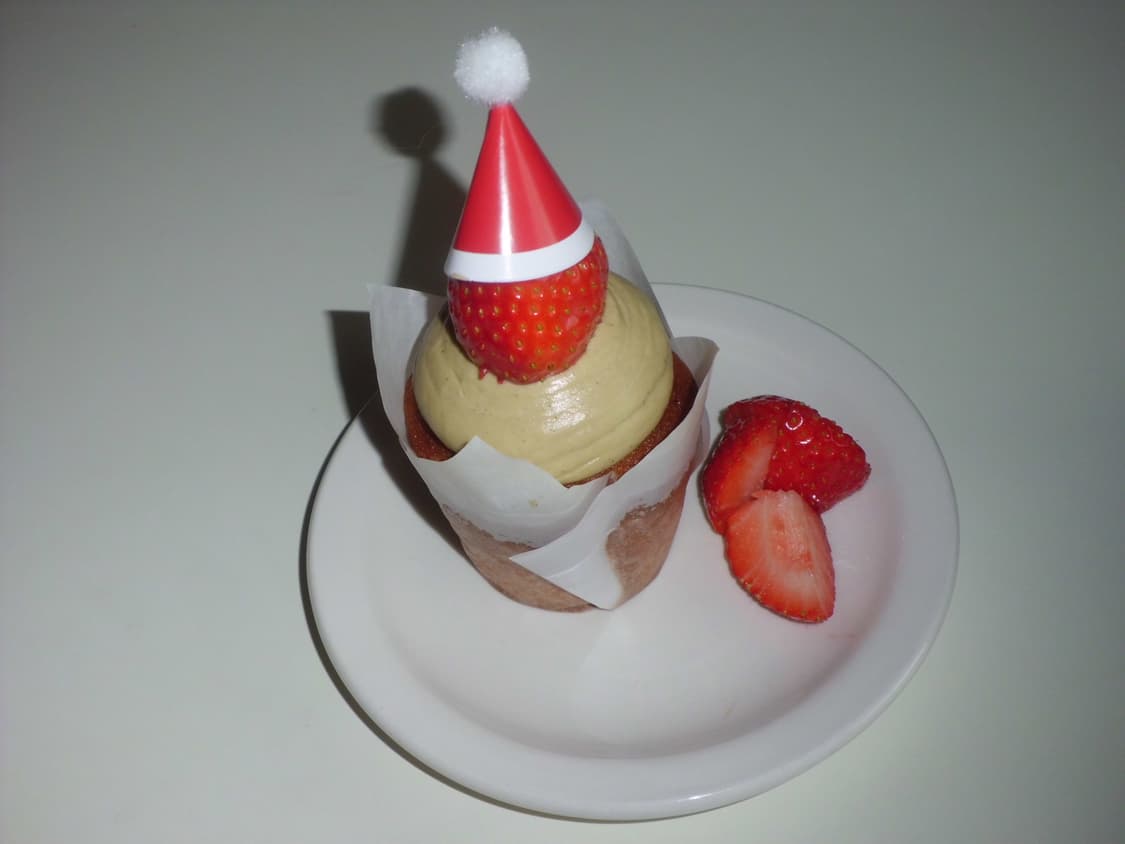 코르티스 엄성현 디카 casio exzs5 exz27 상품이미지8