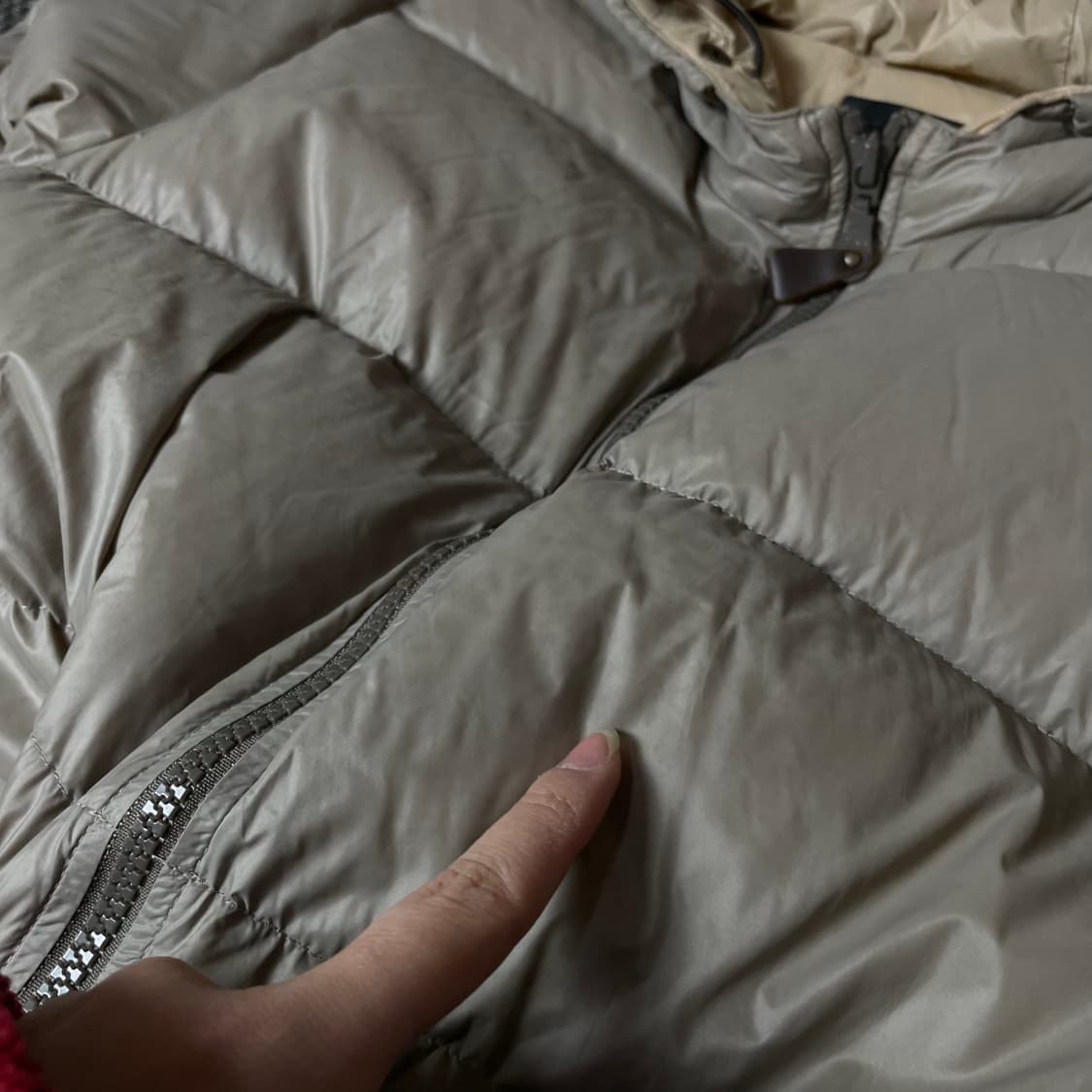 JPN 연베이지 후드 경량 패딩 F 상품이미지5