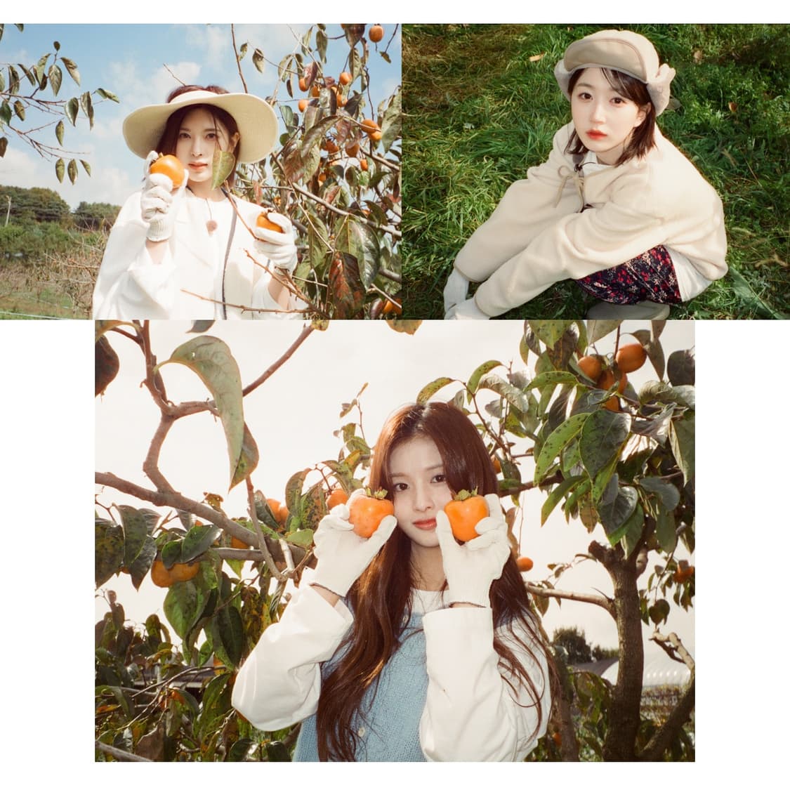 필카 올림푸스 뮤줌105 디럭스 (너무예쁜 작례 0) 상품이미지4