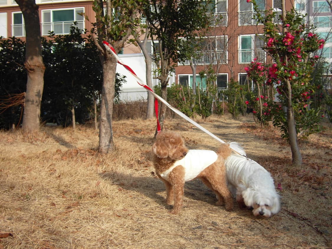 삼성 nv100hd 빈티지디카 상품이미지8