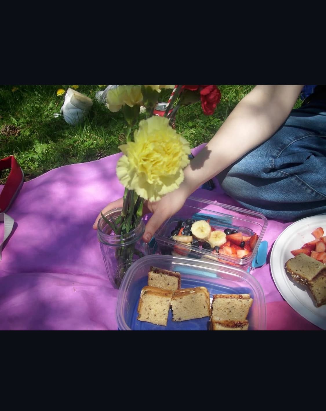 폴라로이드 i836 디지털카메라 상품이미지9