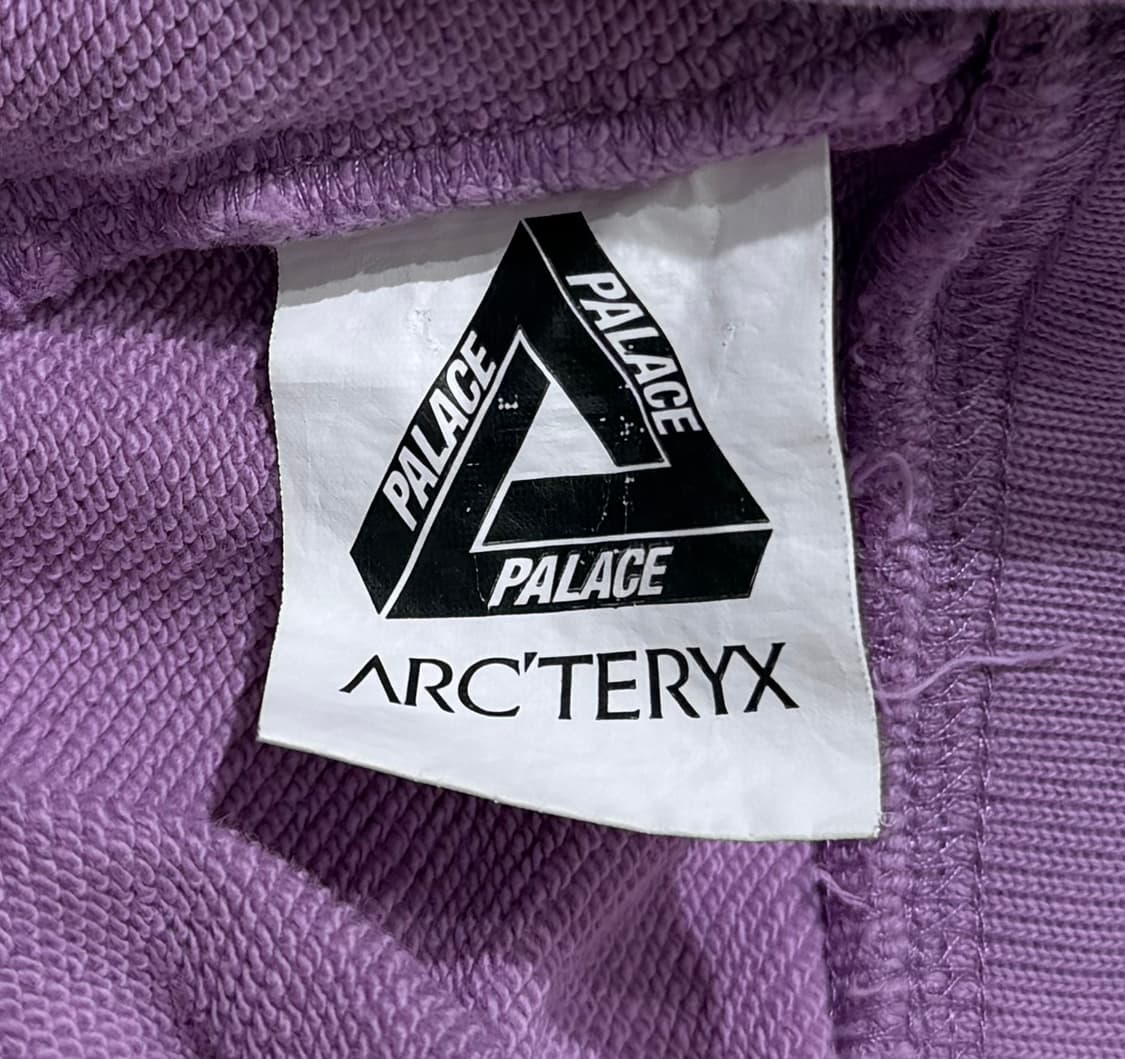 아크테릭스 X 팔라스 후드 헤이즈 상품이미지7