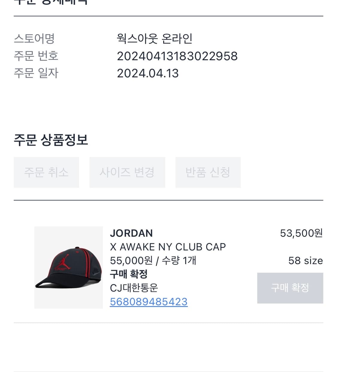 조던 어웨이크 볼캡 상품이미지2