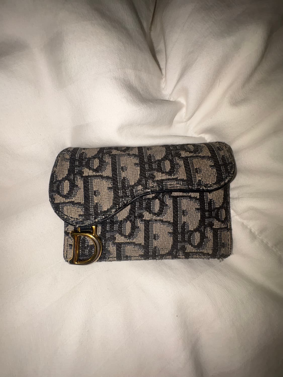 디올 오블리크 새들 카드지갑 상품이미지1