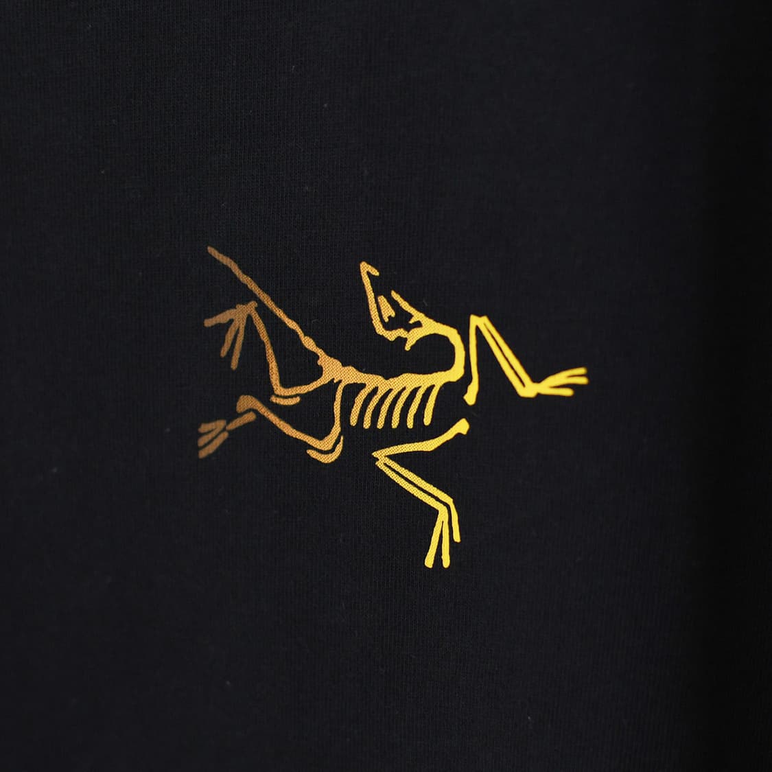 ARC'TERYX 아크테릭스 Kragg Cotton Logo SS  상품이미지3