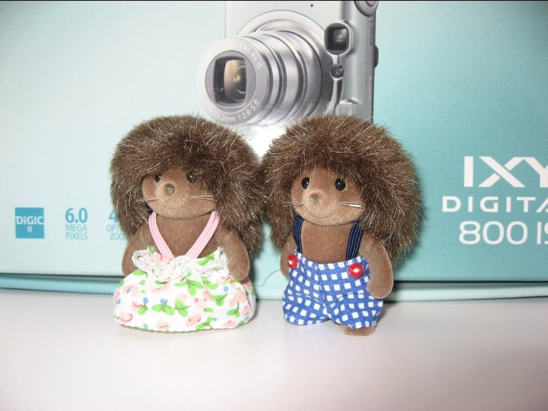 ✨️ Canon IXY 800 IS 🩶 그레이 ✨ 셀럽 감성 상품이미지7